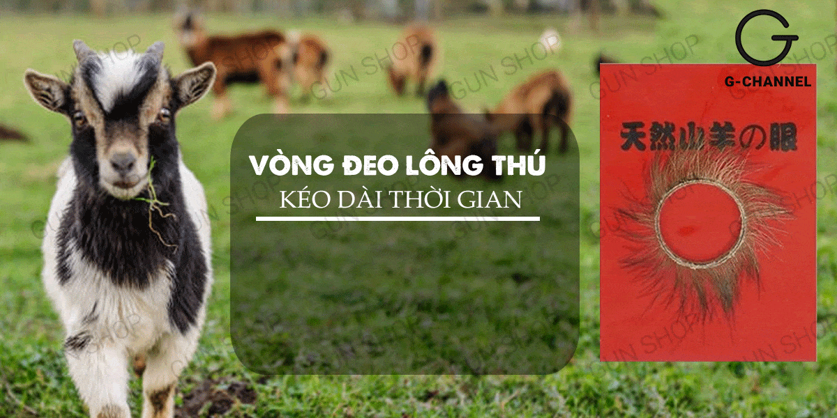 Vòng đeo hạn chế xuất tinh lông thú bền bỉ chất lượng cao