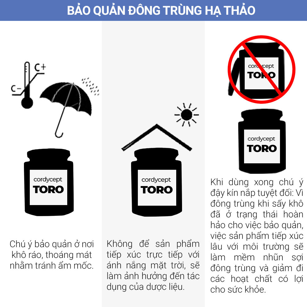 Đông trùng hạ thảo Toro nguyên sợi sấy thăng hoa tăng sức khỏe
