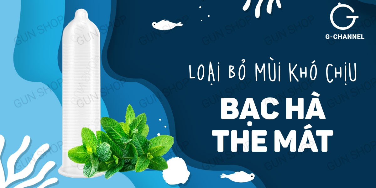 Bao cao su Shell Seahorse Kéo dài thời gian Hộp 3 cái