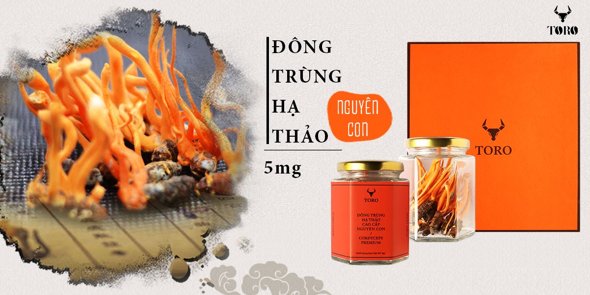 Đông Trùng Hạ Thảo Nguyên Con Cao Cấp Bồi Bổ Sinh Lý Mạnh Mẽ