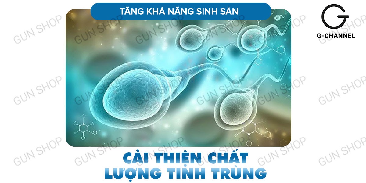 Bảng giá Maxman chính hãng cương dương kéo dài thời gian chống xuất tinh sớm hộp 10 viên mới nhất