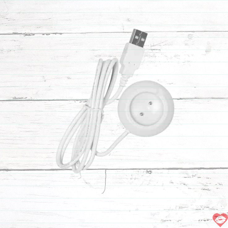 Dock Sạc Lovense Ambi USB Tiện Lợi Sạc Nhanh Bền Bỉ