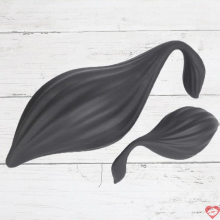Pompa hậu môn đôi đuôi cáo wearable hot sale độc lạ