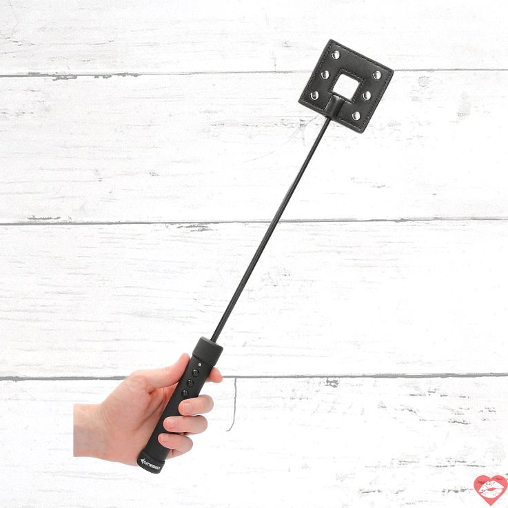 ElectroShock roi điện sạc đánh kích thích