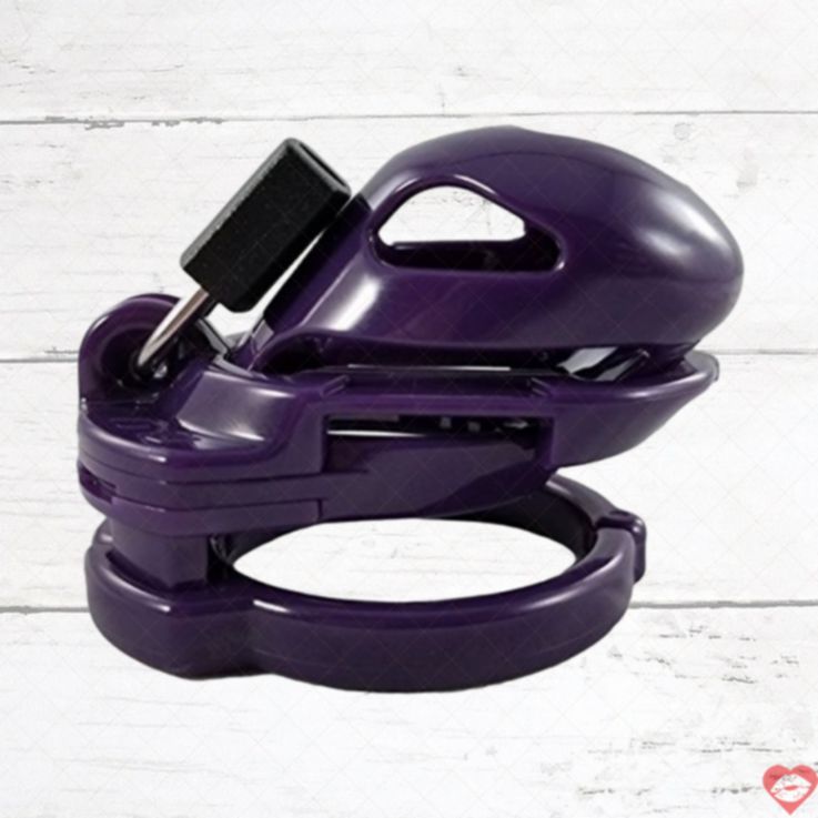 Khóa tình dục Locked in Lust Vice Mini V2 tím quyến rũ