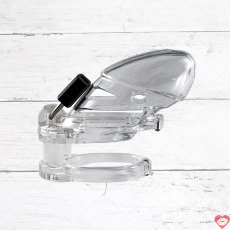 Locked in Lust Vice khóa trinh tiết lớn trong