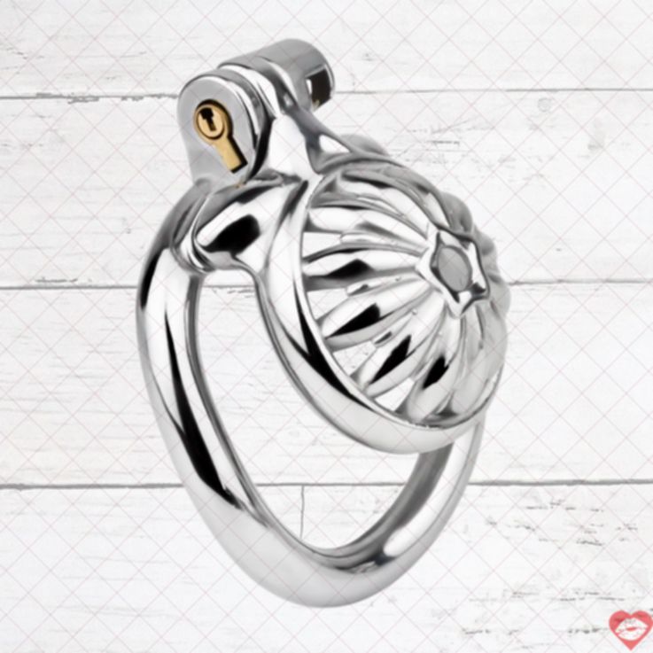 FAAK Khóa Trinh Tiết Hoa 45mm Thép Chống Gỉ Kiểm Soát 