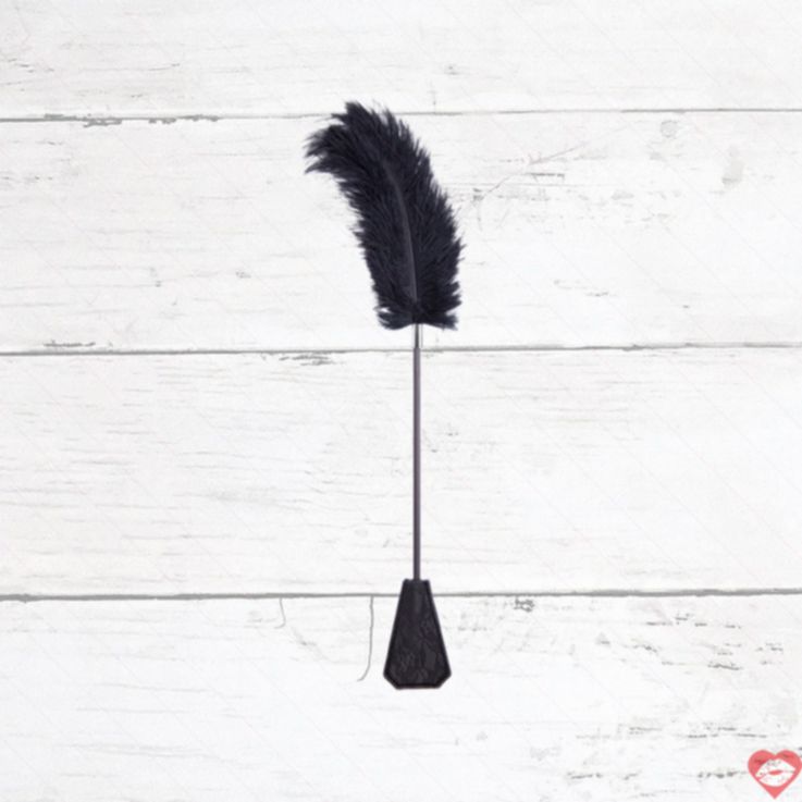 Black ostrich lông vũ tickler BDSM 13