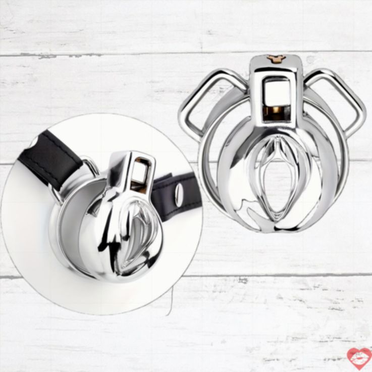 FRRK-138 Lồng Khóa Chim Thép Không Gỉ Bền Bỉ Nồng Nhiệt 