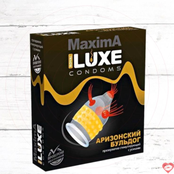 Luxe Maxima Bulldog - Bao Cao Su Gai Chấm 18cm