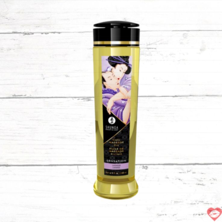Dầu massage Shunga lavender khoái cảm 240ml