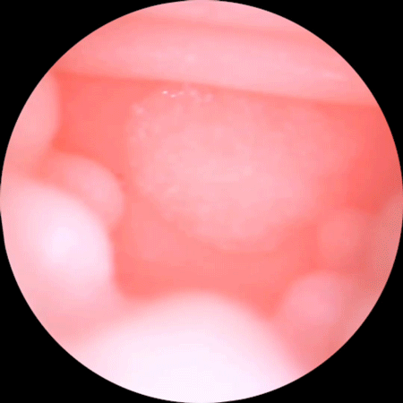 Âm đạo giả ManMiao Lovely Catwoman mềm mịn Đáng yêu Sướng nhất