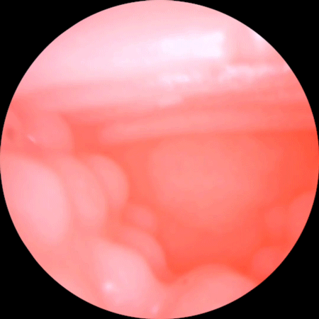 Âm đạo giả ManMiao Lovely Catwoman mềm mịn Đáng yêu Sướng nhất