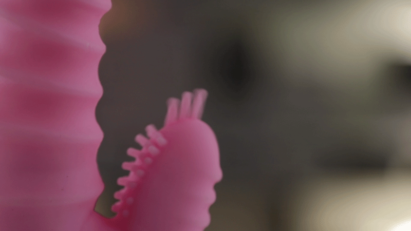 Đại lý Máy rung cho nữ NPG Nhật Bản thiết kế gân nổi massage âm đạo hàng mới về