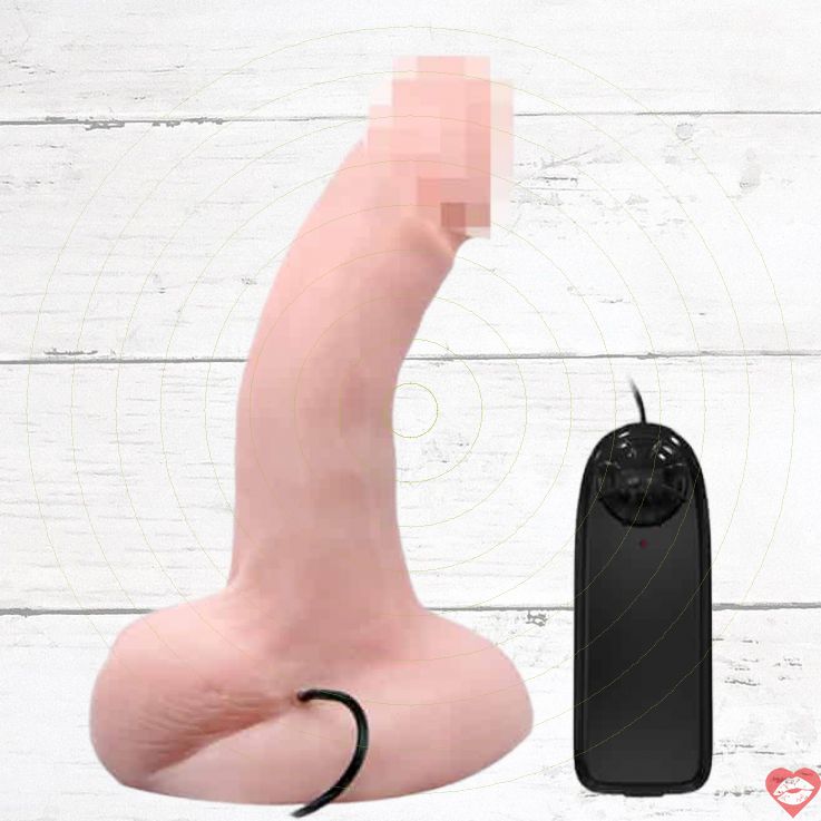 Fake Dương Vật Baile 20cm Rung Remote Siêu Sướng