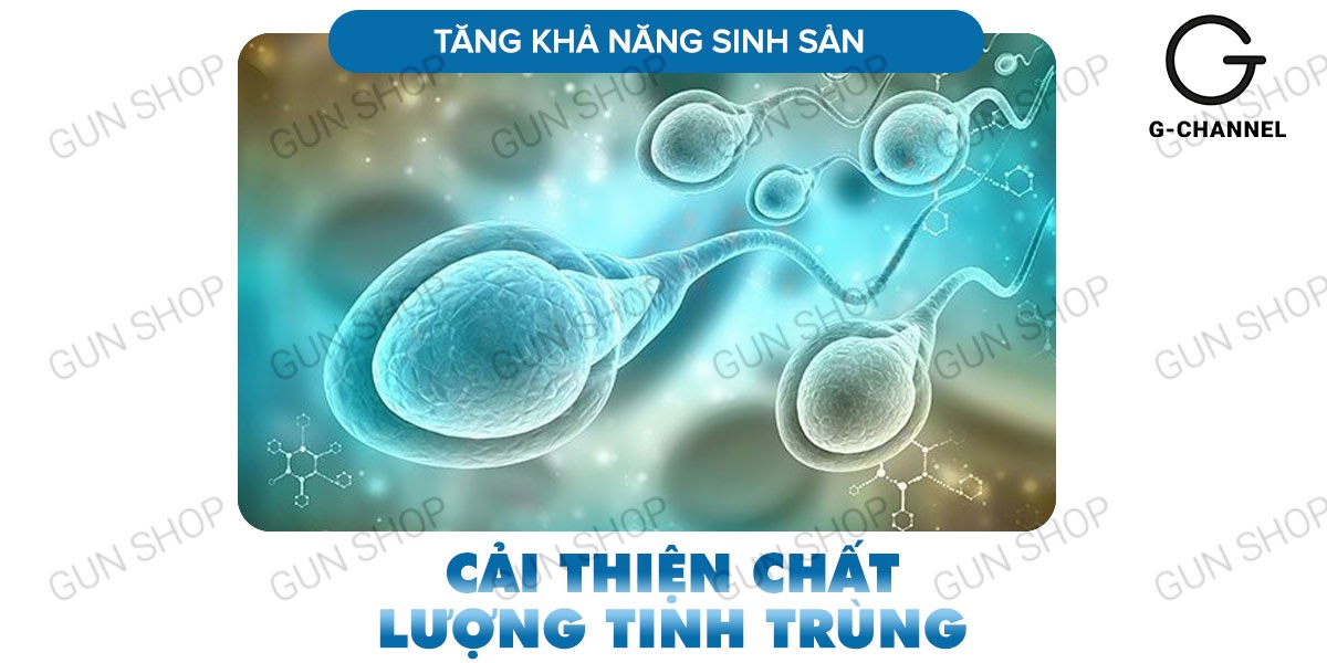  Bán Viên uống hỗ trợ cương dương tăng cường sinh lý Maxman - Hộp 10 viên giá sỉ