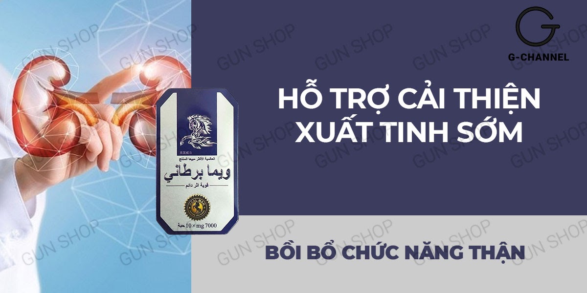  Shop bán Viên uống hỗ trợ cương dương tăng cường sinh lý Ngựa Thái - Hộp 10 cao cấp